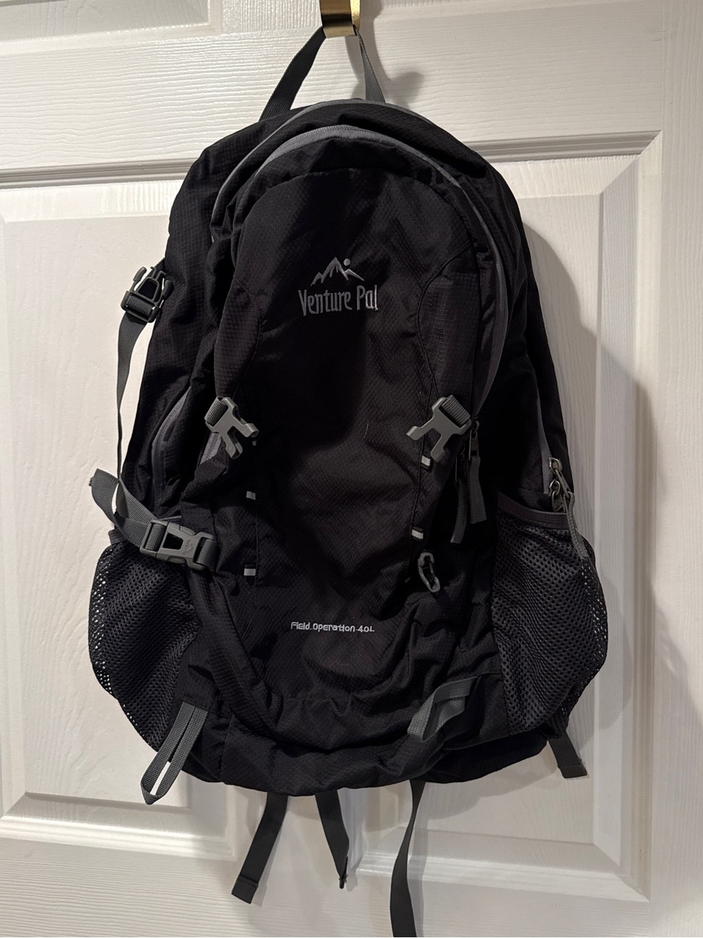 Venture Pal 40L Lightweight Packable Backpack Daypack in Black